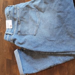 Lane Bryant Boyfriend Jean